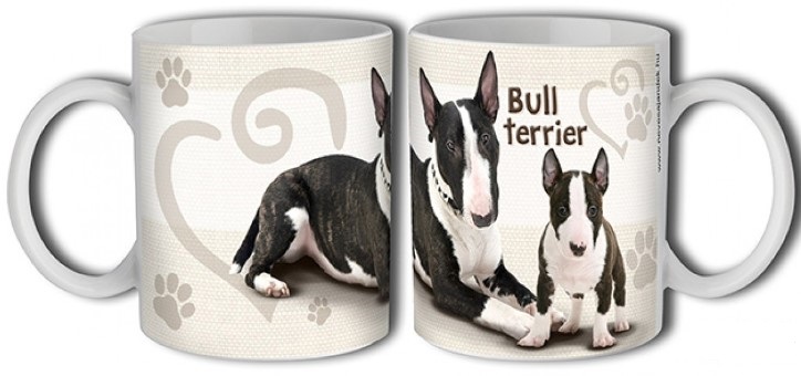 BÖGRE B389 BULL TERRIER GÁSPÁR