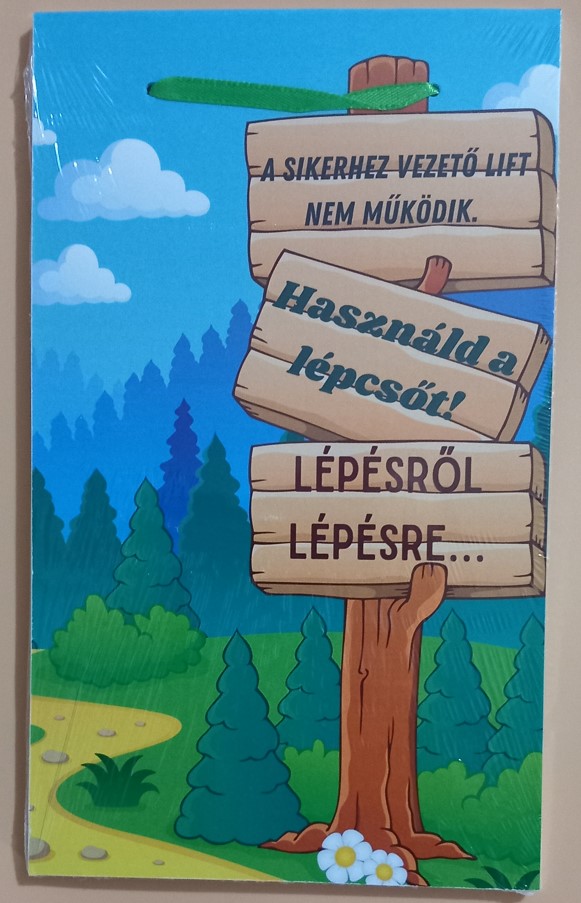 TÁBLA BALLAGÁS FA FELAKASZTHATÓ 15x23cm A SIKERHEZ VEZETŐ LIFT NEM MŰKÖDIK V:25959 KRR 